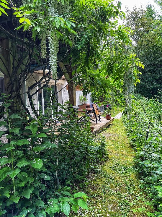 Appartement Au Calme Avec Terrasse Verdoyante Entre Annecy Et Geneve Villy-le-Pelloux Exterior photo